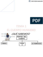 El Cuerpo Humano Presentacion