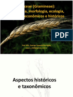 Poaceae Gramineae Taxonomia Morfologia e