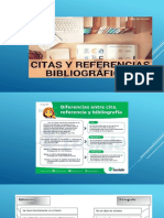 Citas y Referencia-L.r.p.cc - Cl.