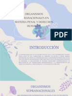 Organismos Supranacionales PDF