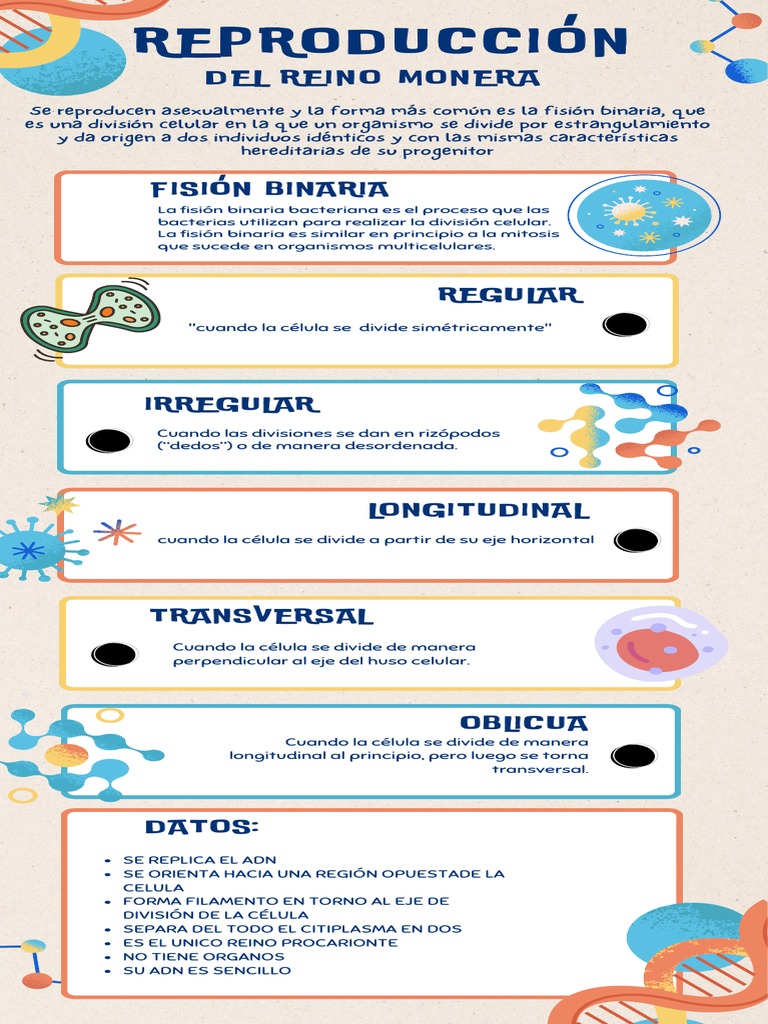Reproducción Del Reino Monera PDF | PDF | Salud y bienestar | Ciencia y  matemáticas