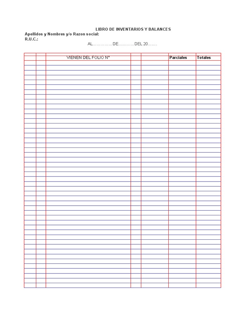 Formatos Contables y Libros en Blanco | PDF | Contabilidad | Industrias ...
