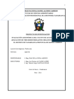 Evaluación agronómica del cultivo de aguaymanto con bioestimulantes y dosis