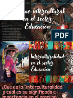 Enfoque Intercultural en El Sector Educaciòn PDF