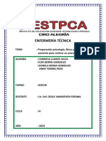 Carmela Llanos Julca Preparacion Fisica Quimica PDF