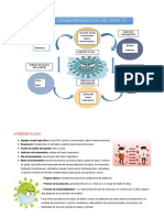 Cadena Epidemiológica Del COVID - 19