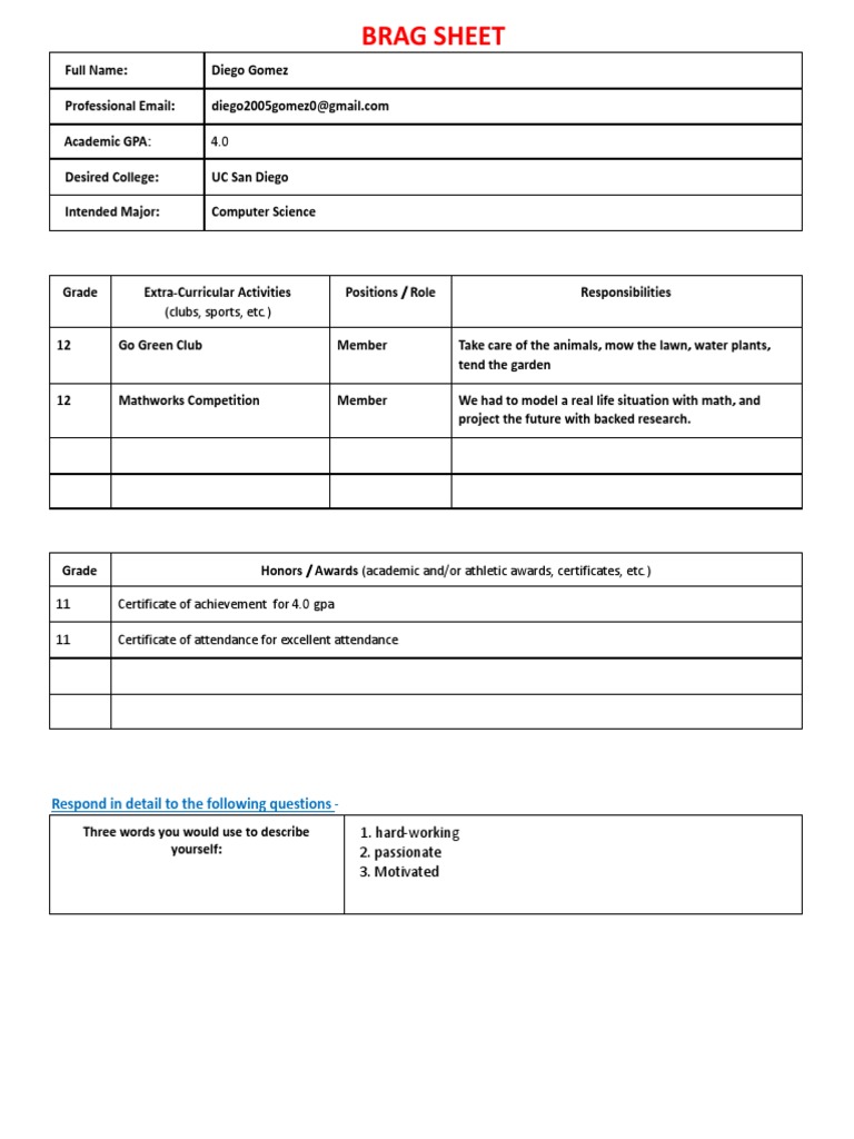 Brag Sheet Template PDF Motivation Motivational