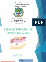 Lesiones de La Piel