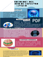 Infografia - Neurobiologia Del Tea