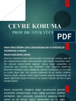 ÇEVRE KORUMA - 17 Mart 2023