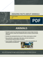 Amazing Facts About Animals