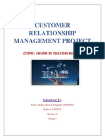 CRM Project Report PDF