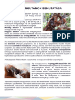 3 PDF Foemlosok OCS Orangutanok