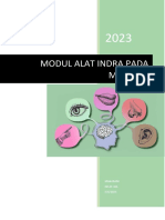 Modul Alat Indra Pada Manusia