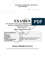 CJEC - Model Structura - Primele Pagini Proiect 2023