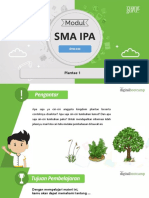 Biologi - 10SMA - Plantae 1