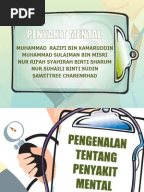 PUNCA PENYAKIT MENTAL