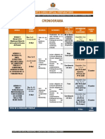 Estructura y Cronograma Cuarto Curso Virtual Preparatorio PDF