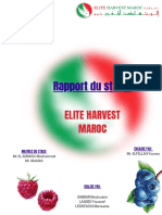 Rapport Du Stage ELITE HARVEST MAROC PDF