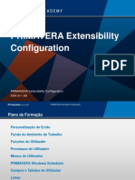 PRIMA Extensibility Setup