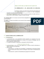 Esquema Bio t4