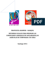 Propuesta - Anamuri Ranquil 2011