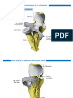 Seminario PDF