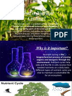 Nutrient Cycling Report