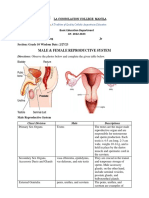 3Q Week 1 Las 1 Male and Female Reproductive System