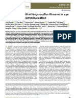 Nautilus Pompilius Genome NatEcolEvol 2021