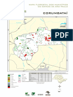 Mapa Florestal Municípios SP