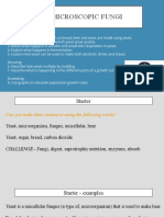 L4. Microscopic Fungi