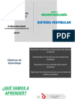 Sistema vestibular: anatomía, transducción y vías centrales