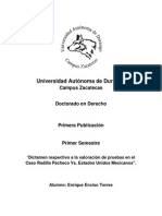 Dictamen Respectivo A La Valoración de Pruebas en El Caso Radilla Pacheco vs. Estados Unidos Mexicanos