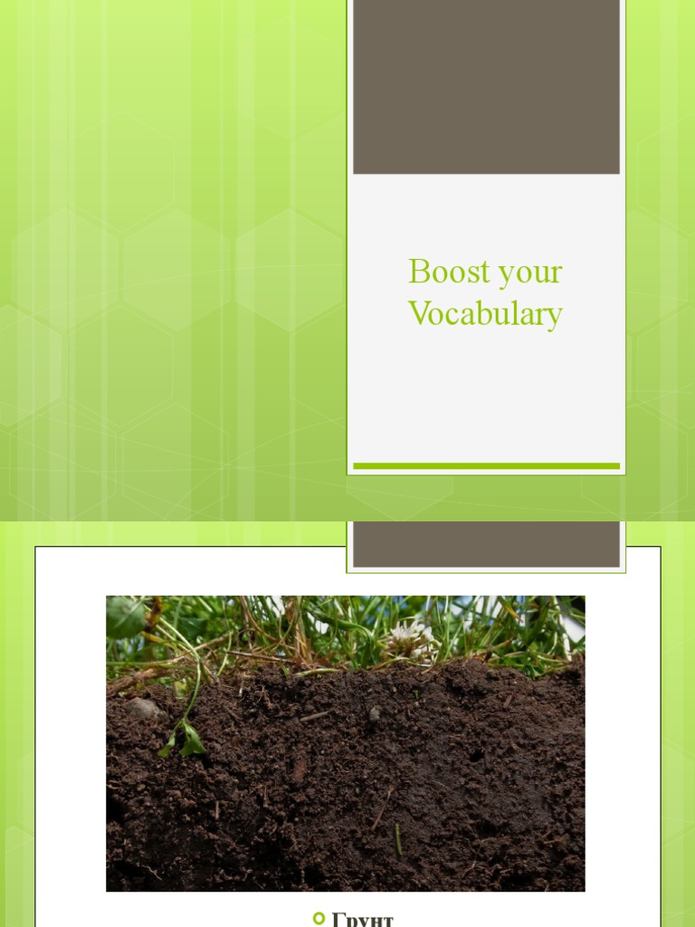 Boost Your Vocabulary | PDF