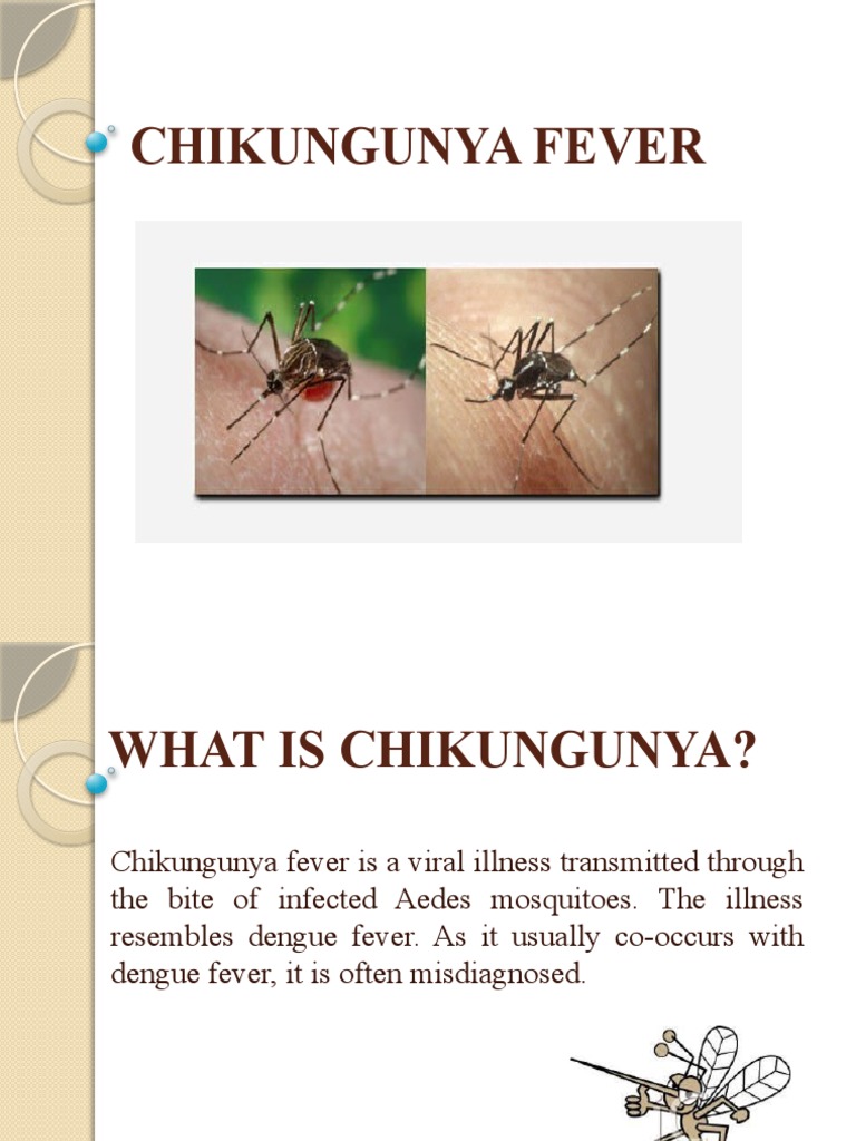Chikungunya Fever | PDF