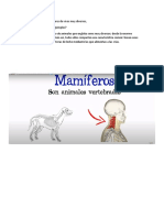 Mamiferos