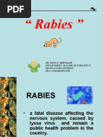 Fact Sheet Scietech - English and Filipino Article 1 | PDF | Rabies ...