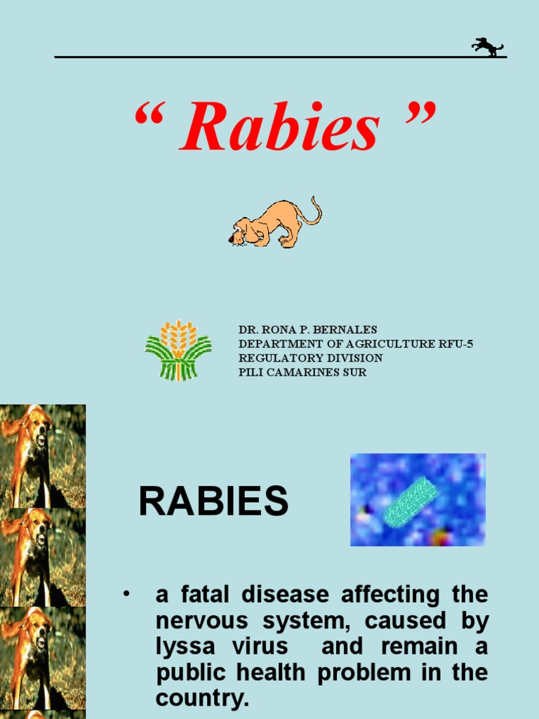 Rabies in Canine & RA 9482 | PDF