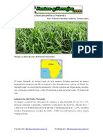 Ficha Técnica Del Pasto Marandú (Brachiaria Brizantha Cv. Marandú)