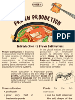 Guide to Prawn Cultivation
