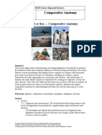 By Land or Sea Comparative Anatomy Lesson