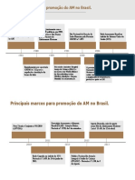 Principais marcos para promoção do AM no Brasil