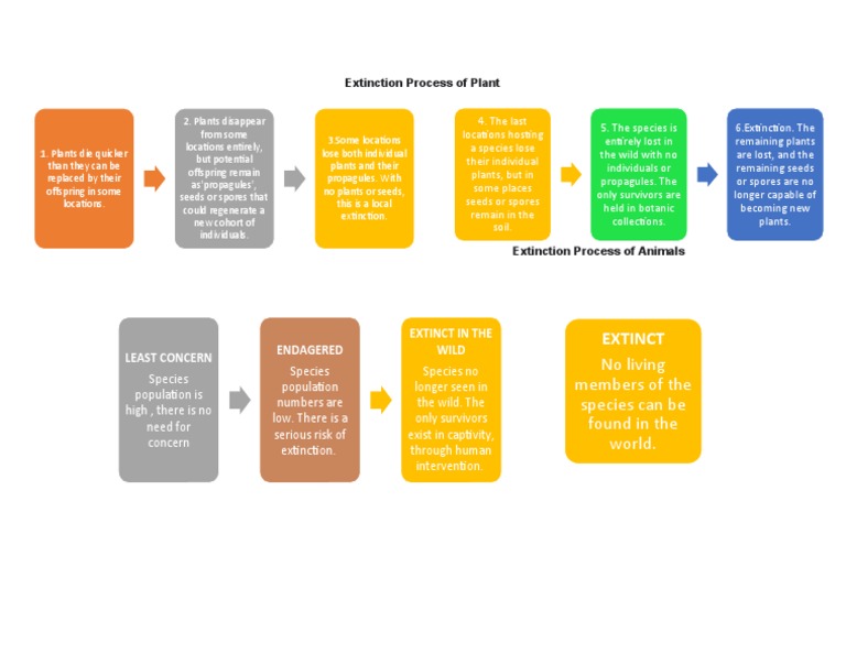 Plant and Animal Extinction Processes | PDF | Plants | Extinction