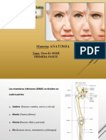 Clase 5 MMII Óseo 1RA PARTE
