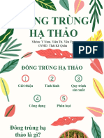 Đông trùng hạ thảo