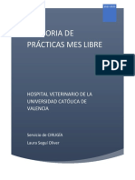 Memoria de Prácticas Hospital Veterinario