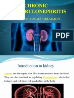 Chronic-Glomerulonephriti 8743411