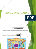 Inflamación Aguda