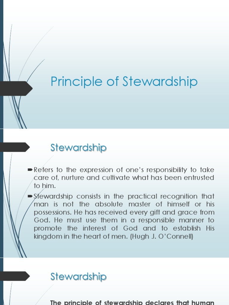 Stewardship in Health Care Ethics | PDF